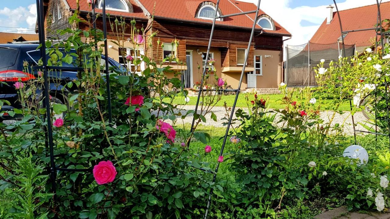 Lend Apartment Miercurea Ciuc